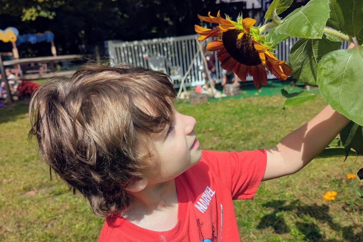 student looking at sunflower